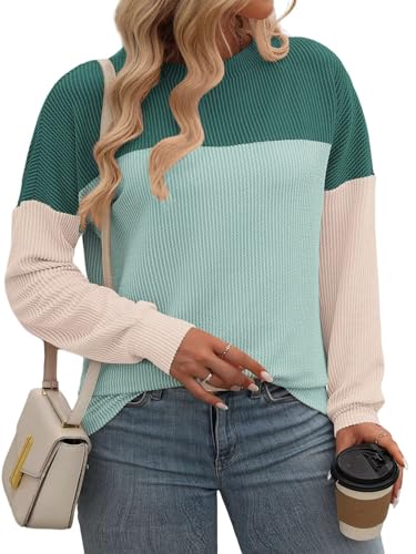Image of DOLNINE Plus Size Tops for Women Long Sleeve Color Block Ribbed Knit Tunic
