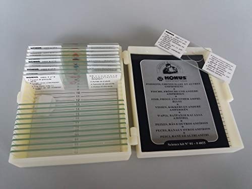 kronus Zoología 10 Piezas Peces, Ranas y Anfibios Slide Set, Talla única