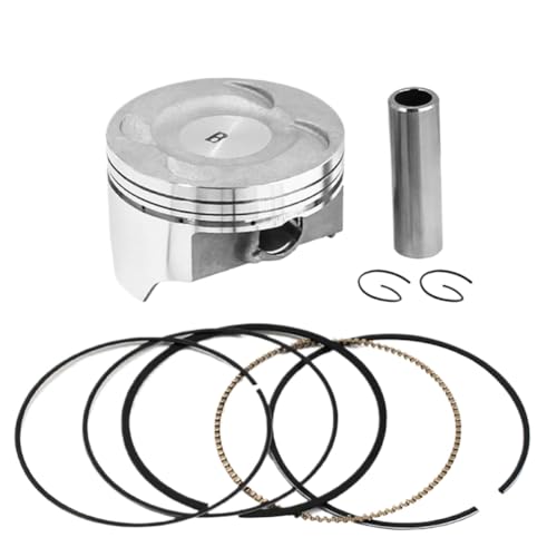 Segments de piston pour cylindre 78mm de KLX300 idéal pour réfection moteur
