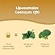 Bandini® Liposomales flüssiges Coenzym Q10 200mg | 250ml Co q10 - Bioaktiv, natürlich, hochbioverfügbar CAVAQ10® | Hochwertiges veganes Ubiquinol aus pflanzlicher Fermentation | Alternative zu Kapseln