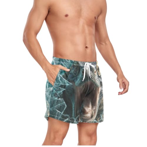 Pantalones cortos de natación Quick Dry para hombre con diseño Komodo 5