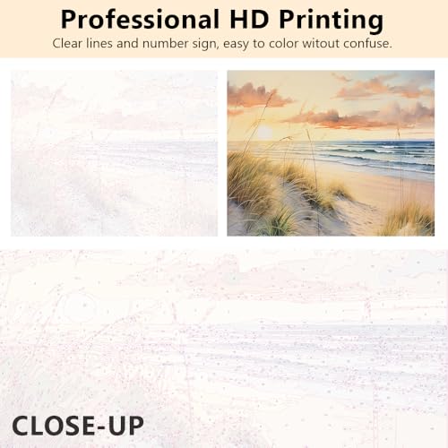 TUMOVO Adult Ocean Dune Paint by Number Kit, 16X20 Inch