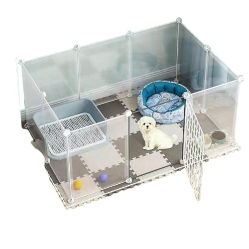 uCARJOYvybgT[N  T[NP[W ybgtFX hAt  O u   P[W ^ WCg pl 8/1012 d؂ Eh~ (10 )