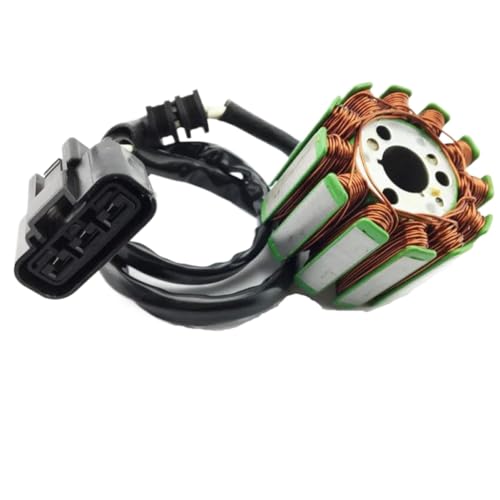 Stator de moto YZF R1 pour vos sorties et circuits 2007