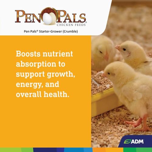 Alimento Chick Feed Starter 5 lb miniatura 6