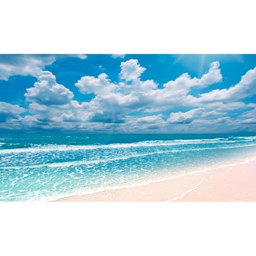 Beach Aquarium Background Sunset Peaceful Beach Fish Tank Background Ocean Seascape Blue Sky Beach Terrarium Background Amazing Seacoast Palm Trees Ocean Waves Shore Reptile Tank Background 72x24in