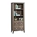 Sauder 420796 Shoal Creek Library with Doors, L: 28.43" x W: 14.49" x H: 68.86", Diamond Ash Finish
