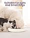 PETTOM Anti Schling Napf Katze, Antischlingnapf Katze Nassfutter Melamin, Slow Feeder Katzen rutschfest, Katzennapf Langsam Fressen mit Hoher Kante gegen Herausfallen (16×16 cm, Weiß)