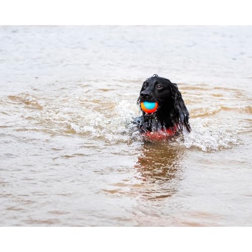 Image of ChuckIt! Amphibious Fetch Balls, Set of 3, Medium