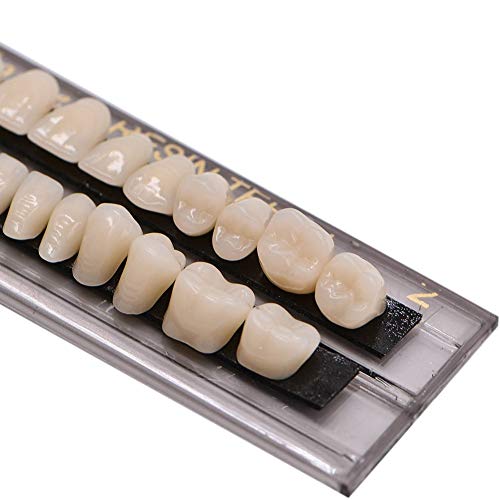 Mibiciri MIBICIRI-1 56Pcs Dental Synthetic Acrylic Teeth Resin Denture False Teeth thumb #3