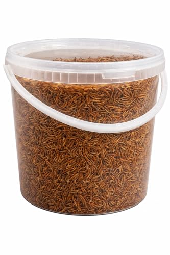 Premium Dried Mealworms 10 Litre Bucket