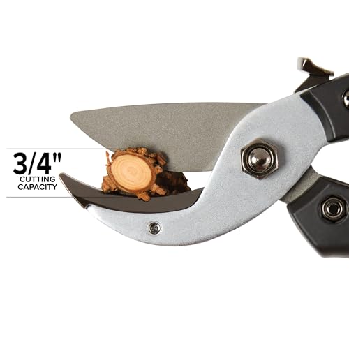 Tijeras de Poda Profesional Jameson Anvil, corte 3/4 pulg miniatura 4