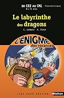 L'ENIGME DES VACANCES DU CE2 AU CM1 8/9 ANS LE LABYRINTHE DES DRAGONS 2091868620 Book Cover
