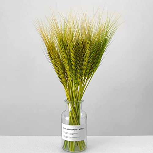 zhibang éPis De Blé SéChéS,Gerbes De Blé SéChéEs,Fait De Blé Naturel éPis De Blé, pour DéCoration De Maison, HôTel, Mariage (Green) Cover