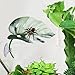 Jumping Spider Plants Realistic – Leaf Shape Pets Accessories, Suction Cup Tank, Greenhouse Terrarium Snake Carpet Hermit | Greenhouse Terrarium Snake Carpet Hermit Egg Indoor Pet Zoo Bird Coop