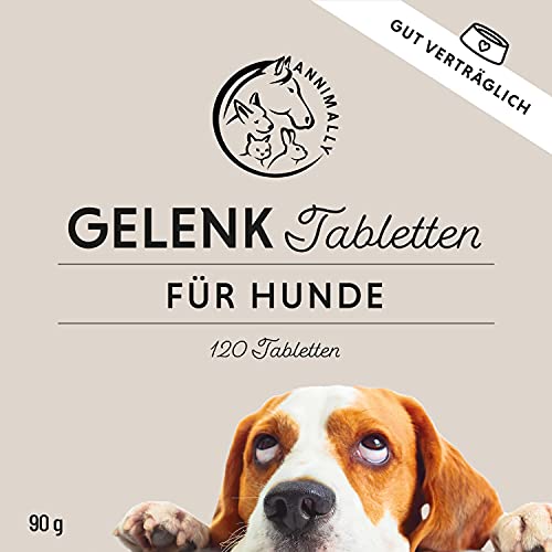 Gelenktabletten für Hunde mit MSM, Grünlippmuschel, Teufelskralle, Glucosamin & Hyaluron - 120 Gelenke Tabletten für Hunde - Hohe Akzeptanz beim Hund durch kleine Tabletten