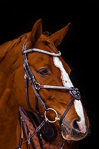 Foto von Deister Mexikanisch Super Glitzer/Strass Leder Braun Reithalfter Pony VB WB X Full Springen Zaum Dunkelbraun Tysons (Warmblut)