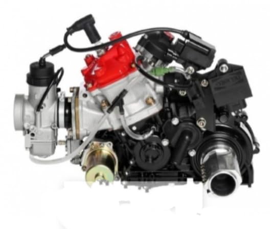  Motore Rotax kart DD2 Evo