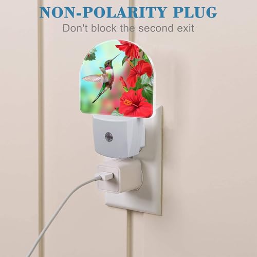 Image of Hummingbird on Lossoming Red Flower Night Light Plug into Wall with Dusk to Dawn Sensor Cute Nightlight for Kid Girls Boys Women Men Room Decor, Hallway, Kitchen, Bathroom, Nursery, Stairs