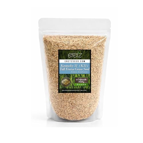 Kentucky 31 K31 Tall Fescue Grass Seed by Eretz - Choose Size! State Certified, No fillers, No Weed or Other Crop Seeds (8oz)