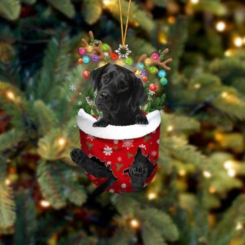 Funny Christmas Tree Decorations, Suitable for Dogs - Gifts for Dog Lovers - Christmas Decorations - Lovely Stockings Dog Christmas Tree Fashion
