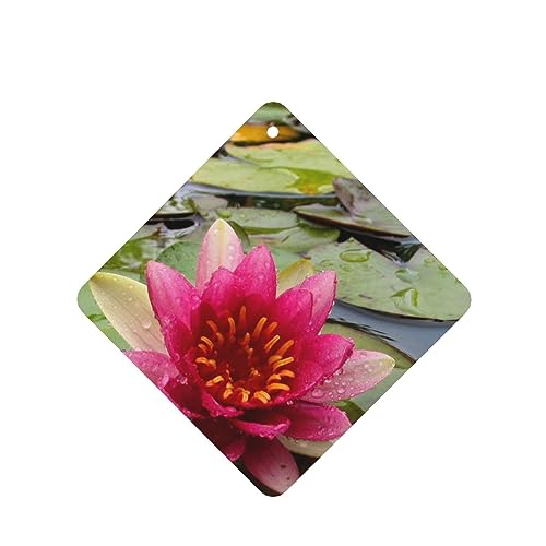 @̉ ԗpF p[\iCYꂽXCX J[A}Zs[^ubg ݂艺F܃J[h [vt 4 ԂƂ̑p