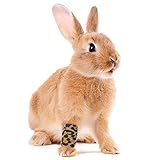tao pipe 6 Rollen Haftbandage, 5 cm × 4,5 m, kohäsives Erste-Hilfe-Klebeband, zum Schutz von Fingern, Handgelenken, Knöcheln, für Kinder, Erwachsene, Hunde, Haustiere