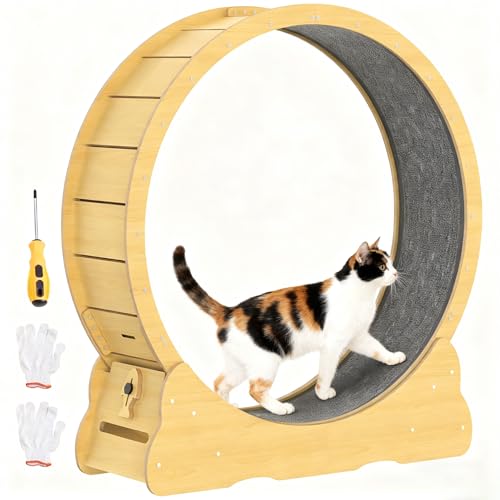 Katzenlaufrad für Indoor-Katzen, 91cm großes Katzenlaufband mit abnehmbarem Teppich & Schloss, Katzenrad für Gewichtverlust & Gesundheit,...