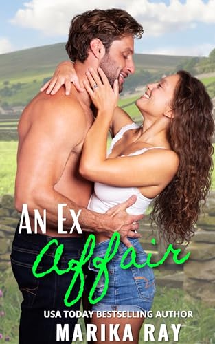 An Ex Affair (Wolfe Brothers Book 2)