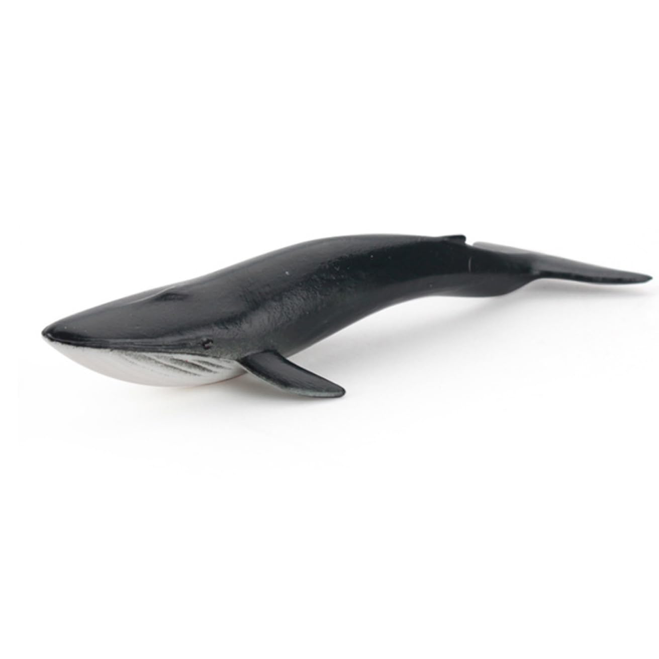 シロナガスクジラ(BlueWhale)、一点ものレリーフ。鯨。希少。手彫り。 シロナガスクジラの装飾品
