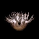 Lia Chavez: A Thousand Rainbows