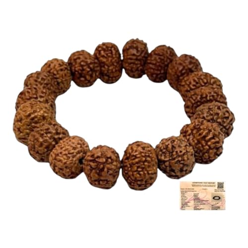 Certified 7 Mukhi Nepali MahaLakshmi Siddh Rudraksha Bracelet for...