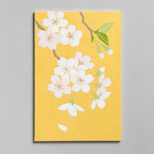 Amazon | ナカガワ胡粉 日本画用絵具 鳳凰 岩絵具 初心者キット 桜編