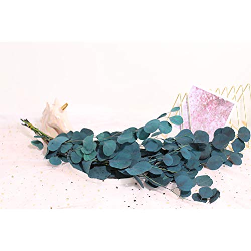 Flores Secas de Eucalipto Ejoyous para Decoración miniatura 2