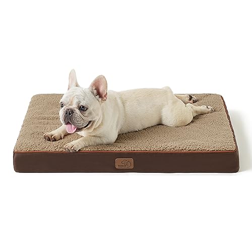 10 Best Dog Bed That Can'T Be Chewed