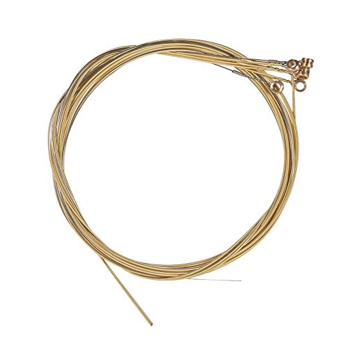 M^[ AR[XeBbNtH[NM^[Zbg̍|j6PCS /Zbg (Color : Gold)