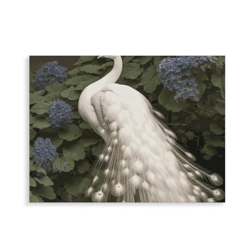 Peinture par numéros adulte kit art paon blanc toile avec cadre 40x30