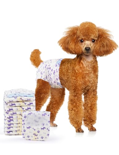 Image of MICOOYO Disposable Dog Diapers Female, Doggie Diapers for Dogs Female, Super Absorbent Pet Diaper with Foam Tail Hole for Heat, Comfortable Puppy Diaper (Small Plus, 20Count)
