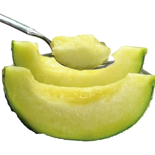 『クラウンメロン 訳あり メロン 1玉』 静岡 マスクメロン 傷 フルーツ 果物 デザート