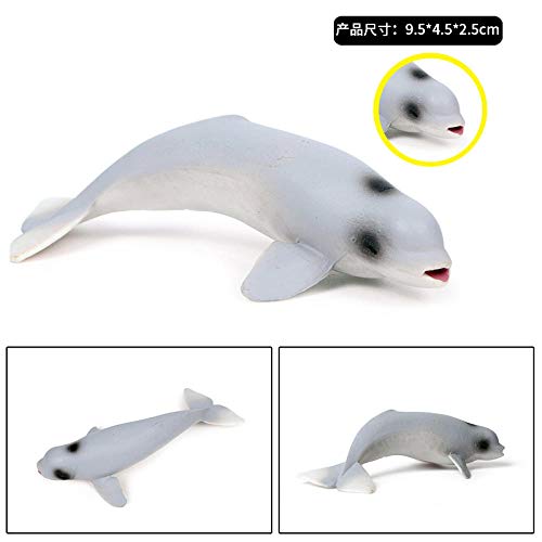 Mini béluga en modèle solide avec peinture de simulation réaliste