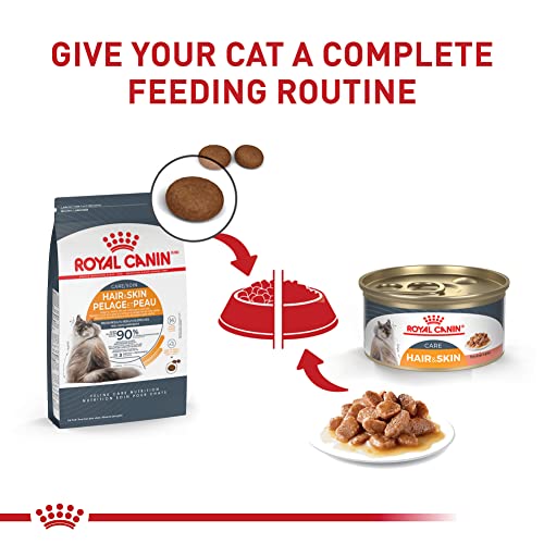 Royal Canin Feline Care Nutrition Hair & Skin Care Thin Slices in Gravy Canned Cat Food, 3 Ounce (Pack of 24)