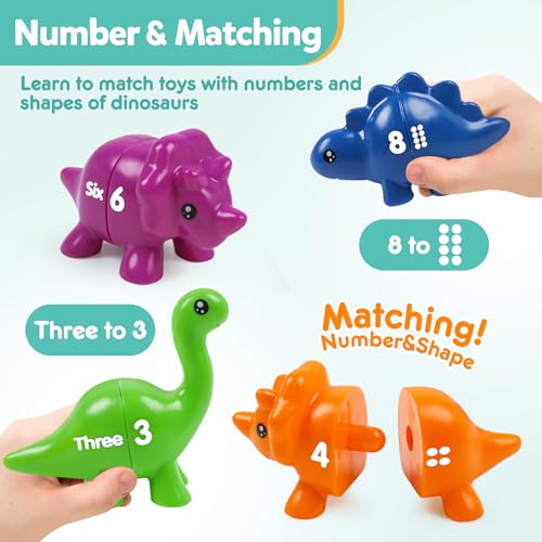 Image of TSYAN Matching Number Counting Dinosaur Toys with Double-Sided 1 2 3 Number Preschool Learning Sensory Sorting Educational Fine Motor Toys Sets for Kids