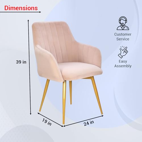 Image of Taboo Velvet Dining Chair | Upholstered Accent Arm Chair | Soft Cushioned Seat with Backrest | Modern Velvet Fabric Chair with Metal Legs | Living Room, Bedroom, Cafe & Restaurant Chair | Baby Pink
