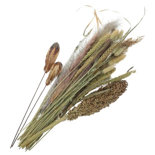 ELAYARD Seco de Hierbas Pampas y Altas para Decoración de Mesa y Jarrón Natural y Elegante para Salón Oficina y Eventos Hogar Nórdico Boho