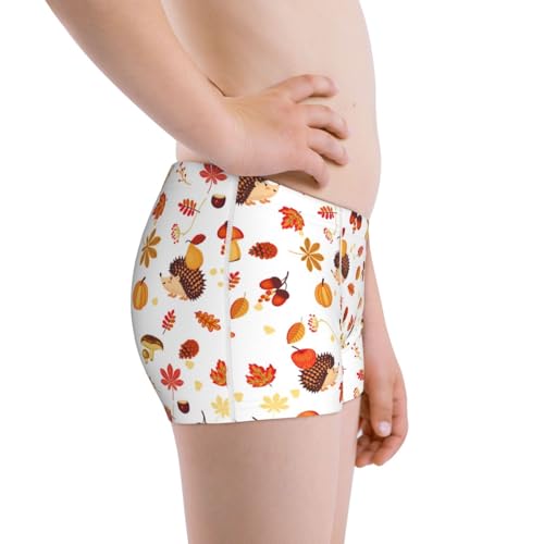 Boys' Cotton Boxer Brief Soft Underwear-Autumn Maple Leaf With Hedgehog2