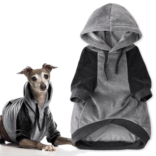 Pet Passion Cooper II Organic Cotton Velour Dog Hoodie Pet Coat for Small, Medium and Large Dogs, Heather Gray Color Block, X-Small (5-12 lbs)