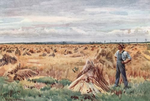 Tableaux Peinture sur Toile Manitoba 60x90cm Décoration Chambre