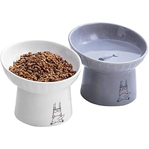 Omaykey O6.5 Keramik Katzennapf Set