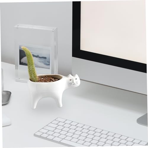 Cactus succulent pour le bureau pot de bonsaï chat en céramique robuste - 3