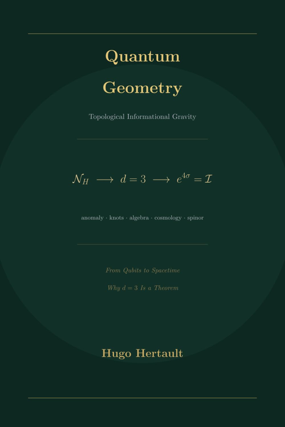 Quantum Geometry: Topological Informational Gravity (Dark Geometry)